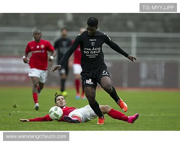 博坊体育引领青少年体育培训新潮流,打造专业化体育教育品牌 博坊体育引领青少年体育培训新潮流,打造专业化体育教育品牌