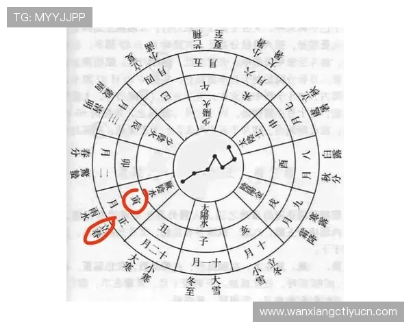 全面解析七星体育登录线路稳定性提升技巧与实用方法 全面解析七星体育登录线路稳定性提升技巧与实用方法