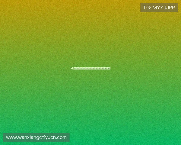 K8凯发娱乐官网最新安全保障措施全面解析助你轻松畅玩 K8凯发娱乐官网最新安全保障措施全面解析助你轻松畅玩