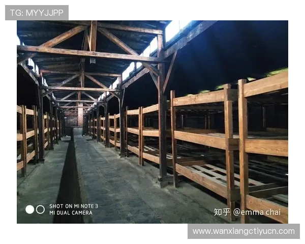 世界杯期间伊朗与新西兰球迷的住宿推荐及周边住宿环境全面解析 世界杯期间伊朗与新西兰球迷的住宿推荐及周边住宿环境全面解析